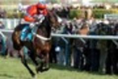 cheltenham festival: sprinter sacre 'one of best racehorses of all time'